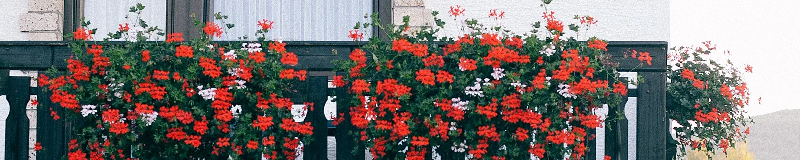 Gepflegtes Wohnhaus mit Balkonen und Blumen